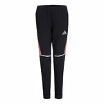 Ropa adidas Own The Run Colorblock Pants